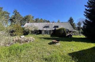 Einfamilienhaus kaufen in 23942 Dassow, Dassow - ENORMES POTENTIAL AUF 7000 QM UNWEIT DER OSTSEE