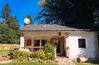 Haus kaufen in 54422 Neuhütten, Neuhütten - Wochenendhaus im Nationalpark auf 2.650 m² Grundstück