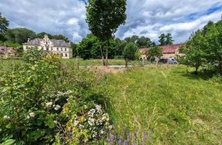 Haus kaufen in 15910 Schönwald, Schönwald - Nebengebäude vom Schloss Rietzneuendorf mit 7000 qm Land