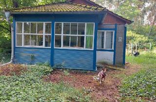 Haus kaufen in 14547 Beelitz, Beelitz - Waldidylle: Grundstück 1000qm mit altem Häuschen in Fichtenwalde
