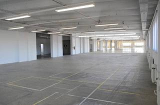 Gewerbeimmobilie mieten in 06526 Sangerhausen, Sangerhausen - Sangerhausen: Günstige Lagerflächen im 1.OG mit Lastenaufzug