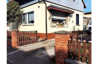 Einfamilienhaus kaufen in 06449 Aschersleben, Aschersleben - EinfamilienhausHälfte