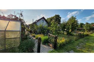 Haus kaufen in 37327 Leinefelde-Worbis, Leinefelde-Worbis - Gepflegter Pachtgarten mit Massivhaus zu verkaufen