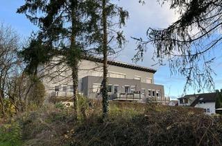 Wohnung kaufen in 74635 Kupferzell, Attraktive 4-Zimmer-Wohnung in Kupferzell zu verkaufen