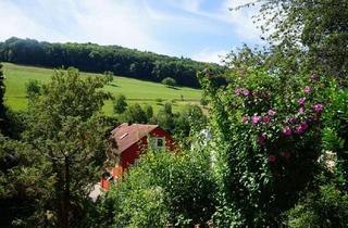 Wohnung mieten in 79594 Inzlingen, 2-Zimmer-Einliegerwohnung mit Sonnenterrasseim Herzen von Inzlingen zu vermieten