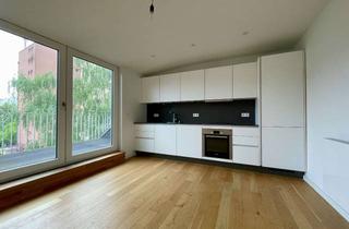Wohnung mieten in Reismühle, 22087 Hohenfelde, 1-Zimmer Wohnung mit Einbauküche und Terrasse