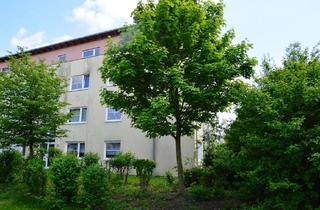 Wohnung mieten in Ahornallee 18 d, 16548 Glienicke, Zuhause im Sonnengarten Glienicke - 2-Zimmer-Whg.