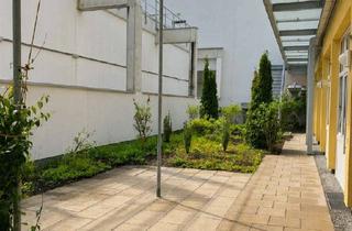 Wohnung mieten in August-Ruf-Straße 5a, 78224 Singen, ERSTBEZUG! 2-Zimmer-Wohnung in Singen Stadtmitte