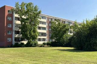 Wohnung mieten in Steinbeckstraße, 06126 Westliche Neustadt, Wohnen im Grünen - Ruhige Stadtrandlage