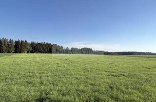 Grundstück zu kaufen in 83624 Otterfing, Grundstück zu 500 qm in Otterfing