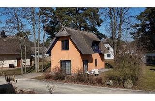 Haus kaufen in Steuermann's Weg 19, 17419 Zirchow, Insel-Idyll unter Reet: Modernes Komfort-Ferienhaus mit Kamin im Fischerdorf Zirchow