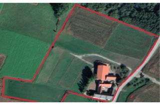 Haus kaufen in 84329 Wurmannsquick, ! Liebhaberobjekt ! Modernisierter Rottaler Vierseithof mit vielfältigen Wohnmöglichkeiten
