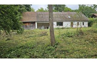 Einfamilienhaus kaufen in 93149 Nittenau, OH-143-26 - Einfamilienhaus mit Bauplatz, idyllischem Freizeitgrundstück und Wald Nähe Nittenau
