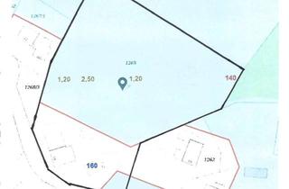 Bauernhaus kaufen in 77887 Sasbachwalden, Ehemaliges Bauernhaus in Sasbachwalden - Anwesen mit 2 Wohnungen