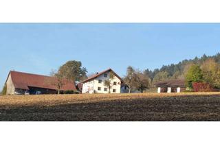 Bauernhaus mieten in 94374 Schwarzach, Bauernhaus mit 250 m² Wohnfläche, Scheune, Hallen