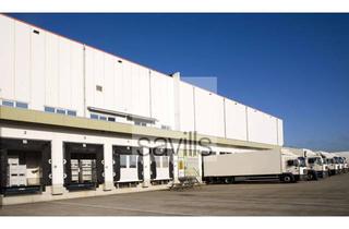 Gewerbeimmobilie mieten in 59069 Rhynern, 20.000 m² Logistik-/ Produktionshalle | PROVISIONSFREI | Anmietung über Savills!