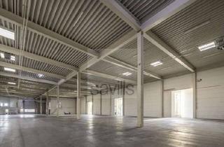 Gewerbeimmobilie mieten in 29378 Wittingen, Hallenflächen in Wittingen (Kreis Gifhorn)