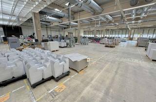 Büro zu mieten in 56567 Neuwied, Gewerbeliegenschaft mit vielseitig nutzbarer Hallenfläche und modernem Büroanteil