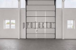 Büro zu mieten in 68775 Ketsch, ✅ 450 m² Halle mit eben. Rolltor, Büro und optionaler Freifläche