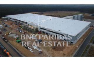 Gewerbeimmobilie mieten in 92533 Wernberg-Köblitz, 18.000 m² Logistikneubau, bezugsfrei August 2026 * PROVISIONSFREI