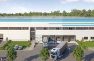 Gewerbeimmobilie mieten in 12529 Schönefeld, Moderne Logistik an der A113