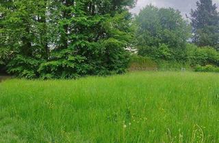 Grundstück zu kaufen in 88348 Bad Saulgau, Exklusives Grundstück zur freien Bebauung in Bad Saulgau