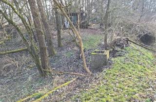Grundstück zu kaufen in 37412 Herzberg, Gebotsverfahren: Waldgrundstück mit erheblichen Beräumungsbedarf zu verkaufen