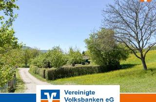 Grundstück zu kaufen in 72581 Dettingen, Gepflegtes Gartengrundstück mit Hütte - Zufahrt / Dettingen Erms - wenige Meter vom Wohnort entfernt