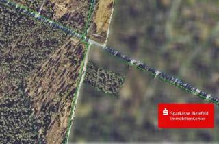 Grundstück zu kaufen in 33689 Sennestadt, Für Erholung und Naturliebhaber: 5 000 m² Waldgrundstück im Teutoburger Wald