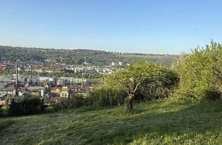 Grundstück zu kaufen in 73733 Esslingen, Provisionsfrei: Gartengrundstück auf der Neckarhalde