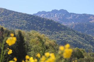 Grundstück zu kaufen in 83229 Aschau, Sonniges Baugrundstück mit Blick zur Kampenwand