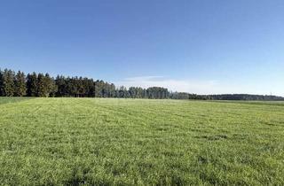 Grundstück zu kaufen in 83624 Otterfing, Grundstück zu 500 qm in Otterfing
