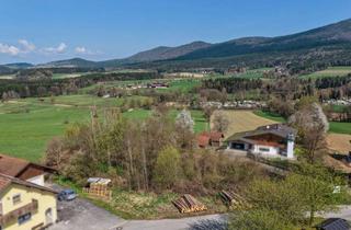 Grundstück zu kaufen in 93480 Hohenwarth, Traumhaftes Grundstück in Hohenwarth/Gotzendorf!
