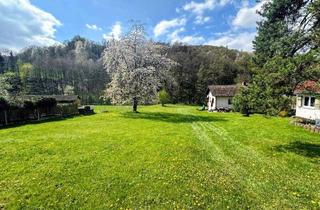 Grundstück zu kaufen in 69483 Wald-Michelbach, Wald-Michelbach - Kreidach: Sie haben den Traum - hier ist das Grundstück - Angebotsverfahren