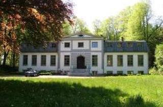 Büro zu mieten in Gutenbergstr. 2a, 21509 Glinde, Charmantes Büro mit Kaminzimmer & Wintergarten in Glinde-Karolinenhof
