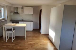 Immobilie mieten in Im Vogelsang 10, 67273 Weisenheim am Berg, Charmantes Studio-Apartment im Souterrain mit Gartenblick – voll möbliert & neu ausgestattet