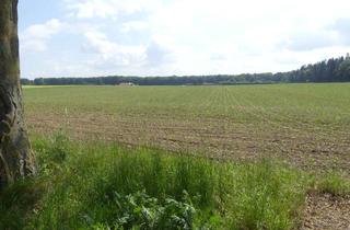 Gewerbeimmobilie kaufen in 47533 Kleve, Ackerland im "Bieterverfahren" - Kleve-Reichswalde