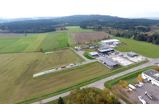 Gewerbeimmobilie kaufen in Riedweg, 78607 Talheim, Gewerbegebiet Talheim Ried-Ost