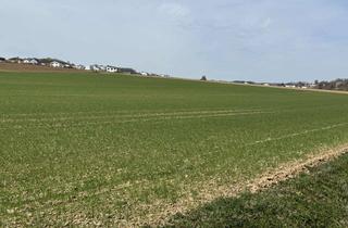 Gewerbeimmobilie kaufen in 84061 Ergoldsbach, Verkauf landwirtschaftliche Fläche in Ergoldsbach!