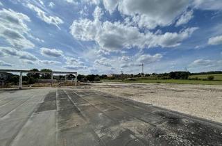 Gewerbeimmobilie mieten in 69168 Wiesloch, Befestigte Freifläche als Lagerplatz in Wiesloch zu vermieten