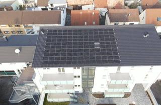 Wohnung mieten in Kronauer Straße 56a, 68753 Waghäusel, ERSTBEZUG: 4-Zimmer Gartenwohnung - Rollstuhlgerecht - 3m Decken - A+ Effizienz