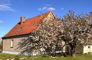 Einfamilienhaus kaufen in 17153 Bredenfelde, Großzügiges Einfamilienhaus mit Nebengelass und Entwicklungspotenzial in Bredenfelde