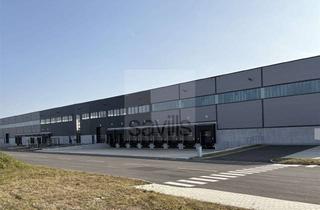 Gewerbeimmobilie mieten in 38518 Gifhorn, Moderne Logistikflächen