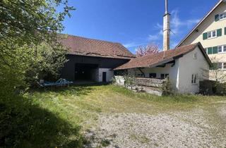 Grundstück zu kaufen in 86929 Penzing, Vielseitig nutzbares Grundstück im Herzen der Gemeinde Penzing