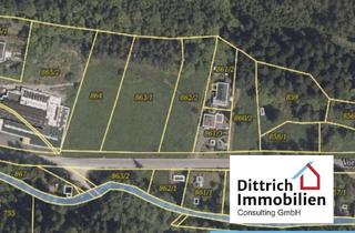 Gewerbeimmobilie kaufen in 72275 Alpirsbach, Über 10.000 m² Gewerbefläche im Nordschwarzwald unter Bodenwert erwerben