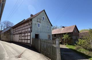 Einfamilienhaus kaufen in 99444 Blankenhain, Denkmalgeschützes, kleines Haus mit Nebengelassen