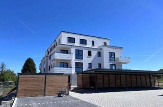 Wohnung mieten in 61239 Ober-Mörlen, Modernes 1-Zimmer-Apartment mit Balkon und PKW-Stellplatz in Ober-Mörlen