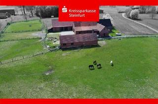 Haus kaufen in 49492 Westerkappeln, Westerkappeln - Idyllische Hofstelle in Alleinlage - Perfekt für Pferdeliebhaber & Selbstverwirklicher!