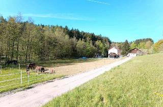Mehrfamilienhaus kaufen in 94336 Hunderdorf, Hunderdorf - Hofstelle für Pferdehaltung in Hunderdorf - Provisionsfrei!!!