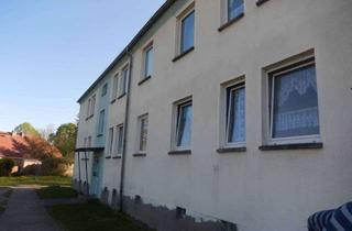 Wohnung mieten in Dorfstr. 54/55, 17392 Putzar, Helle Erdgeschoss-2-Zimmer-Wohnung in Boldekow, OT Putzar zu vermieten